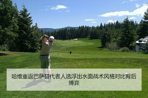 ha-wei-chong-fan-ba-sa-ti-dai-zhe-ren-xuan-fu-chu-shui-mian-zhan-shu-feng-ge-dui-bi-bei-hou-bo-yi-2-741.jpg